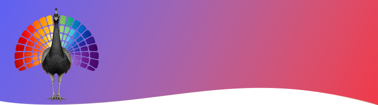 GRAPHIC DESIGN