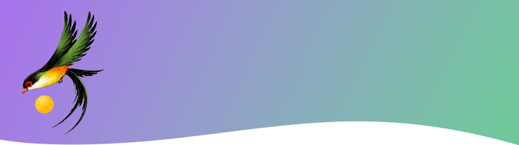 LOGO DESIGN AND ANIMATION