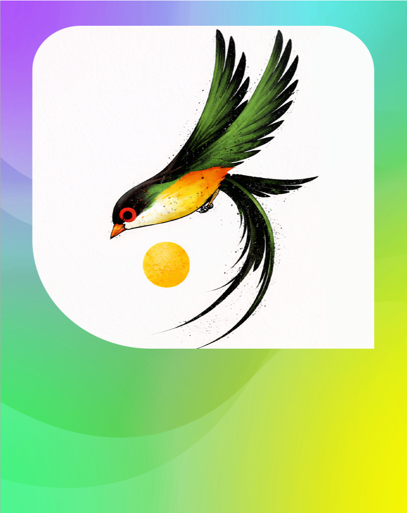 Logo Design & Animation